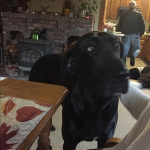 Meet your Posher, Tanor